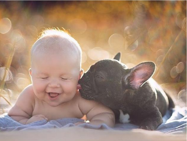 dilon and farley