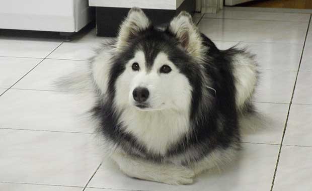 Tally_Sits