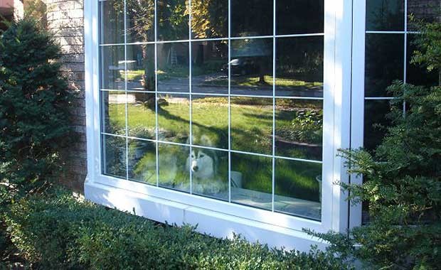 Tally_Window