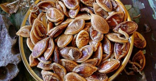 Squash seeds