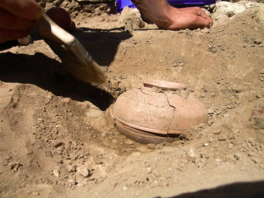 squash pot