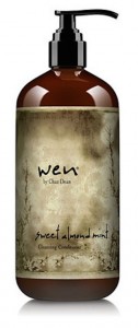 Courtesy Wen.com