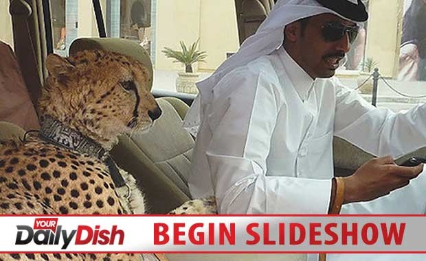Dubai_Top_Logo