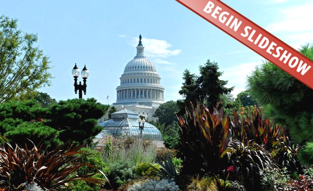 BUSV-Captiol
