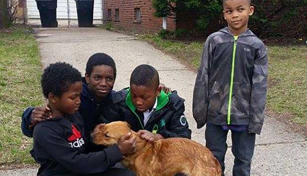 Source: Detroit Pit Crew Dog Rescue