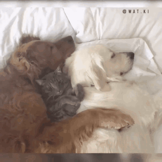 Source: Imgur/Natsdorf