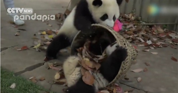 Source: CCTVNews