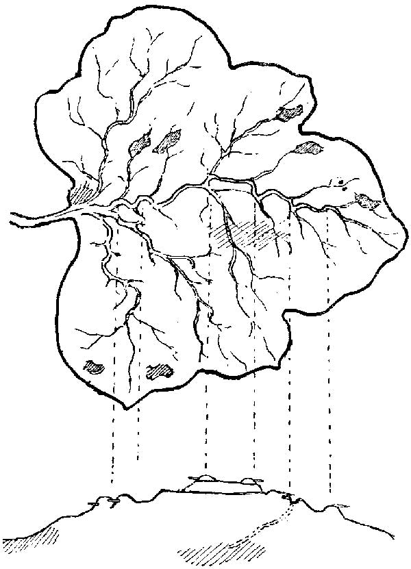 Source: Gutenberg.org/Public Domain
