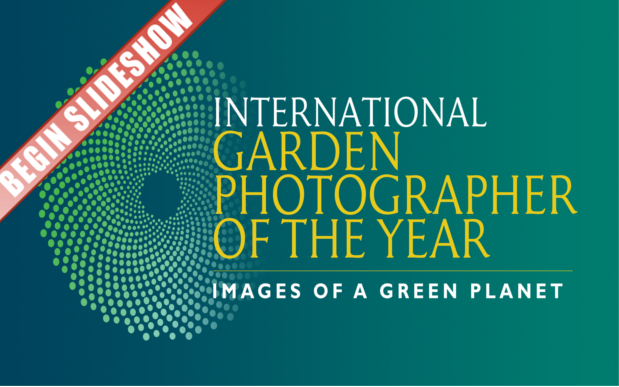 Source: igpoty.com/