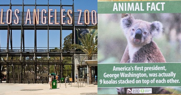 Source: Rediscoverlosangeles.com/Facebook/ObviousPlant