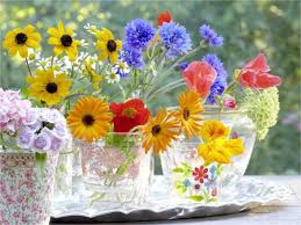 Source: www.lovethispic.com