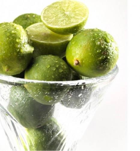 Source: www.floridasaltscrubs.com