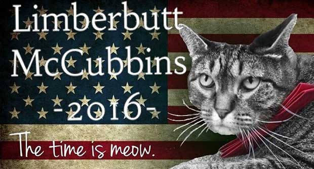 Source: Facebook/Limberbutt 2016