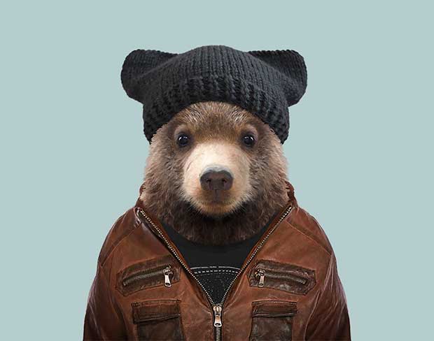 Source: Yago Partal/Zoo Portraits