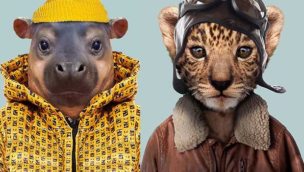 Source: Yago Partal/Zoo Portraits