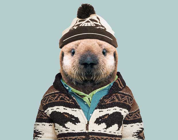 Source: Yago Partal/Zoo Portraits