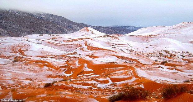 Sahara Desert