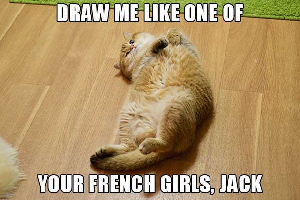 Hosico Cat