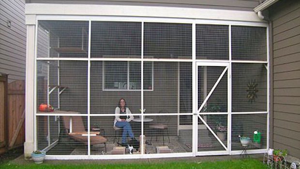 catio