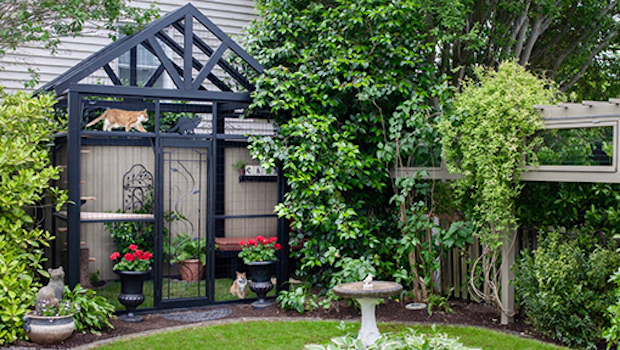 catio