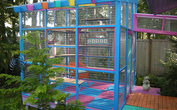 catio
