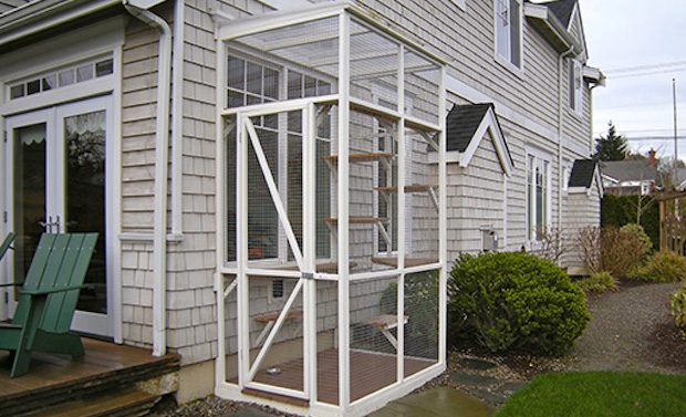 catio