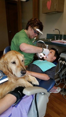 dentistdog1