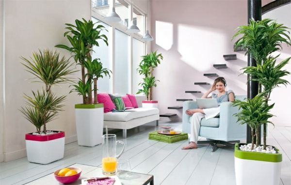 feng-shui-plants-for-harmony-and-positive-energy-in-the-living-room-12-180