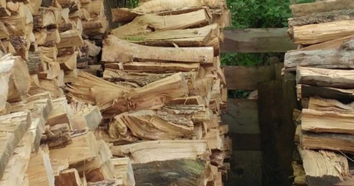 Hidden Cat Is in This Photo With Wood and Almost No One Can Find It