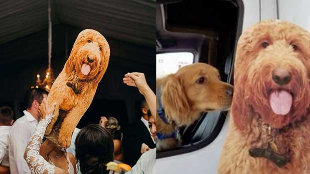 cardboard dog cutout